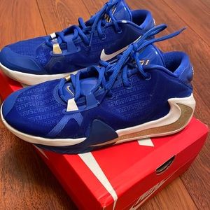 NIKE Zoom Freak 1 Basketball Shoes